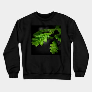 Raindrops On Oak Leaves Crewneck Sweatshirt